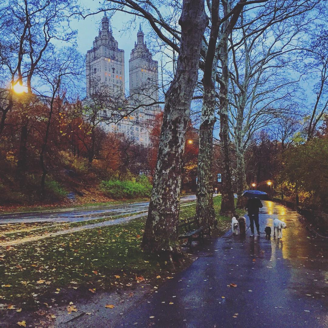 Piedi che friggono, occhi felici #inlove #newyork #magic #centralpark #walking #park #citypark #nyc #trip #crepuscolo #nature #vescicheaipiedicomenoncifosseundomani