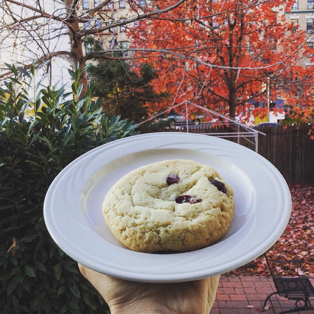 Questa è la dimensione dei biscotti che mangio qui a colazione praticamente 1 biscotto ammerrigano=1 pacco di biscotti de noialtri. Questi li chiamano SCONES. Nel senso, mi pare di capire, che sono SCONESigliati a chi ci tiene alla linea. #ciaomagre #scones #newyork #newyorkcity #veganinnewyork #veganlife #veganism #notsohealty #veganism #vegan #veganbreakfast #nycbreakfast #newyorkbreakfast