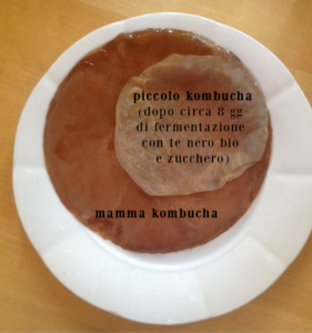 kombucah-mamma-e-figlio