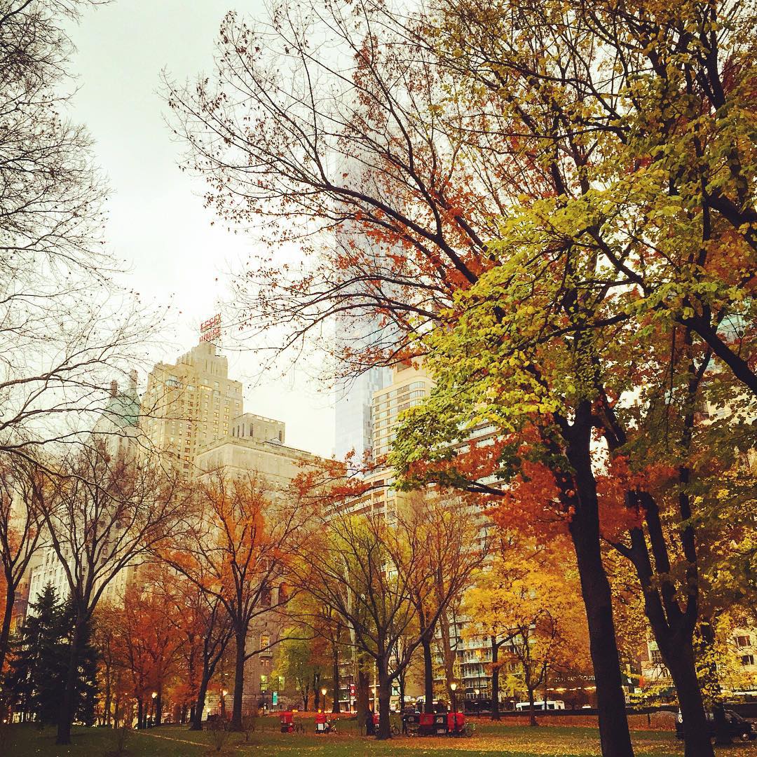 sono vestita come se dovessi esplorare il Polo Nord, e ci sono 13 gradi #saunaeffect #centralpark #newyork #nyc #nature #climatechange #autumn #autumnleaves #autumninnewyork