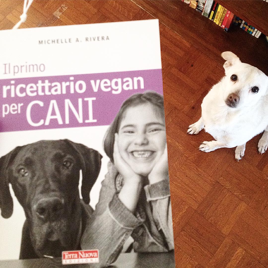 E anche Medora da oggi ha un ricettario tutto suo ❤ Proprio in questi giorni riflettevo ancora una volta sull'alimentazione dei miei pelosi. Medora e' vegana da 7 anni, scoppia di salute, ma troppo spesso per pigrizia o fretta mi affido a cibi pronti (umido o croccantini vegetali).. allo stesso modo in cui ho scelto di non acquistare più cibi industriali per me è il mio compagno, se non sporadicamente, vorrei fare lo stesso per i nostri pelosi, ecco uno dei buoni propositi del 2016 che condivido anche qui con voi e ringrazio l'amica @mari.zeta.52 che pare aver letto nei miei pensieri di questi giorni, per lo splendido regalo ❤❤❤ sono fortunata ❤❤❤ #vegandog #veganrecipes #veganblog #veganfood #veganbook #vegancookbook #terranuova #libro #book #bookstagram #veganchoice #plantbasednutrition