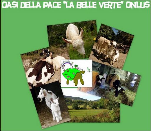 oasi belle verte