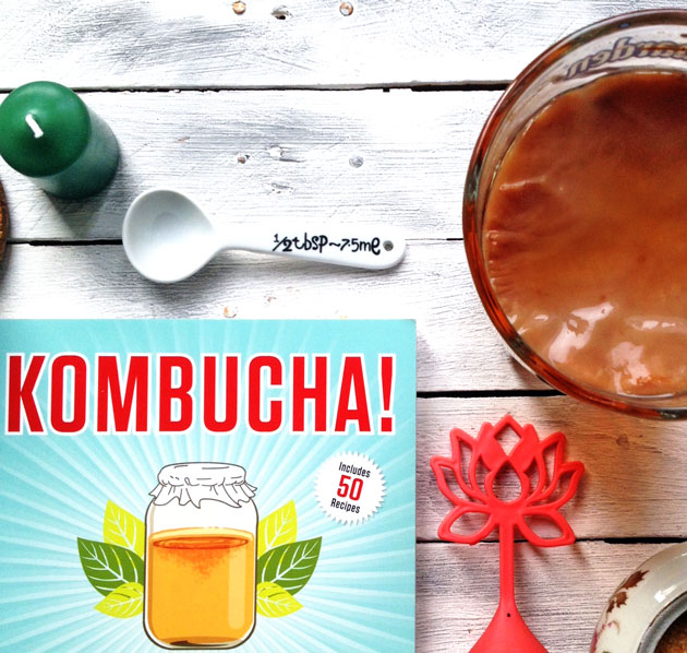 kombucha_libro_balenavolante