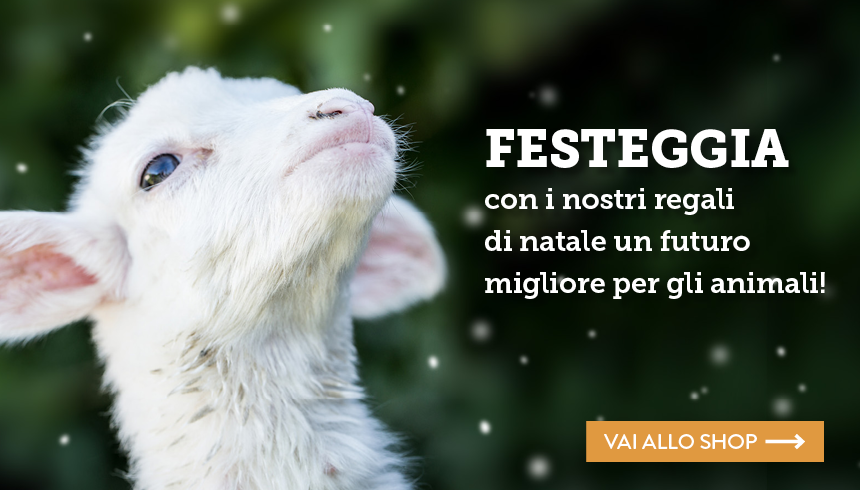 natale2016_essereanimali