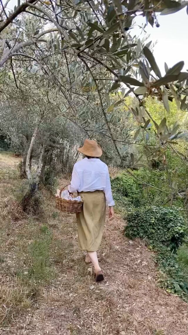 Frammenti di una sera di fine estate, tra ulivi, cicale e zanzare, il profumo dei fichi e la magia di nuovi inizi 🤍